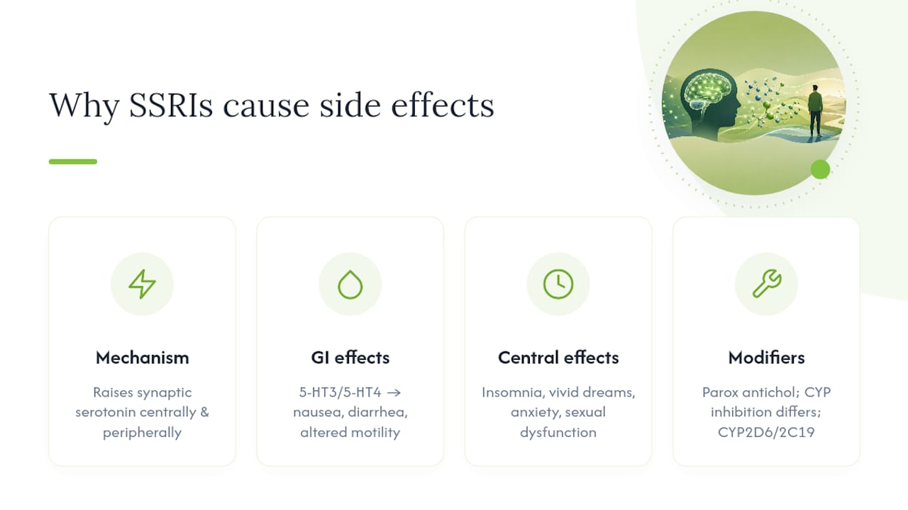 Why do SSRIs cause these side effects in the first place? — overview diagram