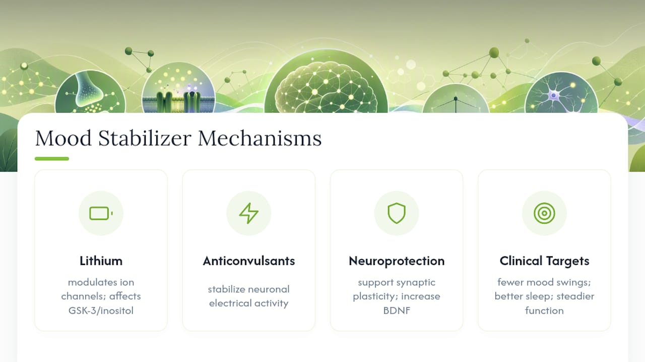 How Do Mood Stabilizers Work in the Brain? — overview diagram